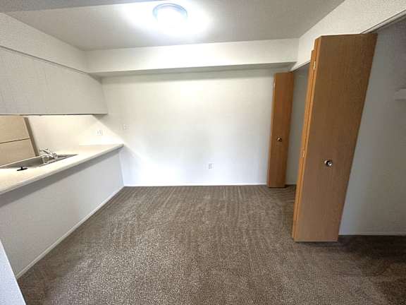 Basement kitchenette with sink and open carpet space at Charter Oaks Apartments, Davison, Michigan