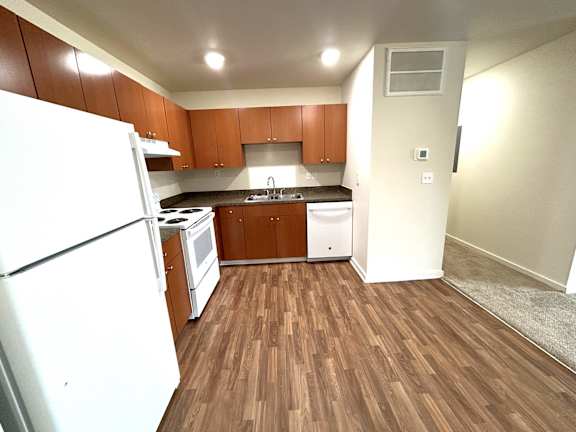 Kitchen in 2 apartment 2-02