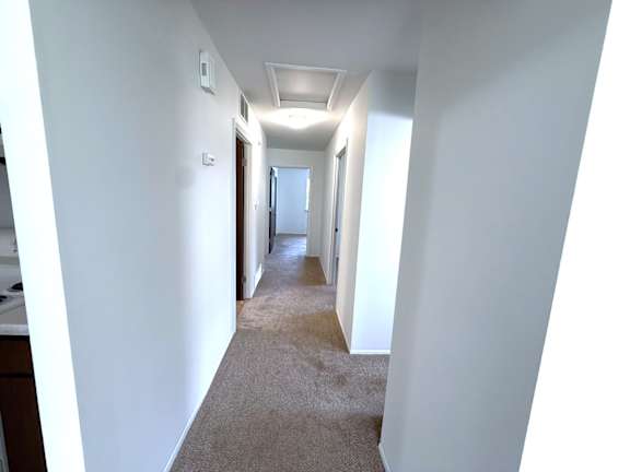A long hallway with white walls and carpeted floor.
