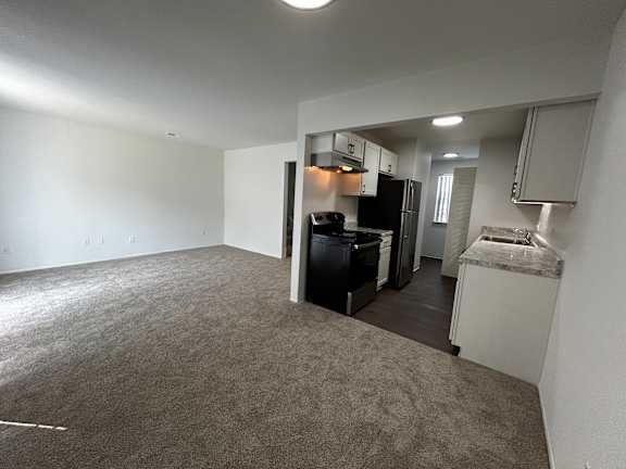A kitchen area with a black fridge, black oven, and a white dishwasher.