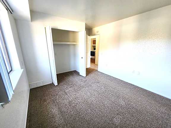 A bedroom with a carpeted floor and a closet with a door open.