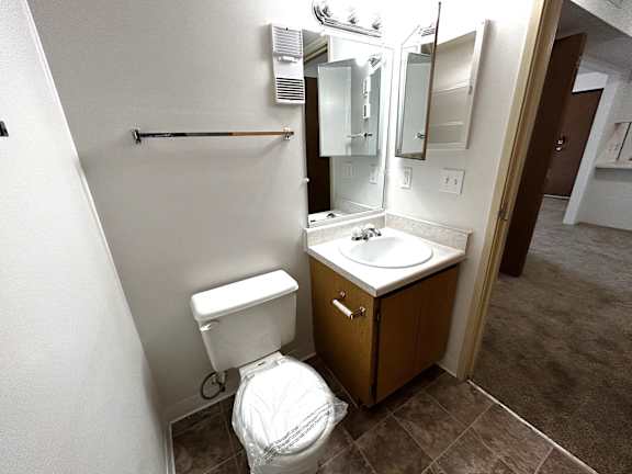 A white toilet sits next to a sink in a bathroom.