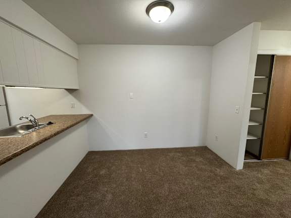 A dining room with a sink and a carpeted floor.