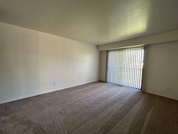 A living room with a carpeted floor and a window with blinds.