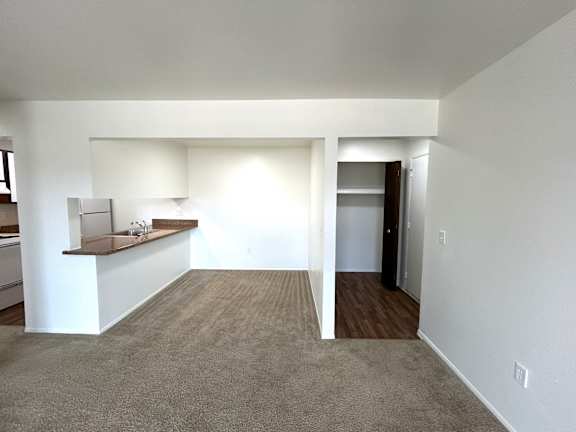 A living room and dining room with a carpeted floor and a kitchen area to the left.