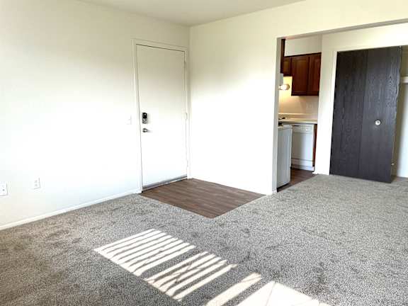 A living room with vinyl plank entry..