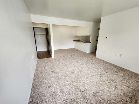 The living room with the dining area in the back right.