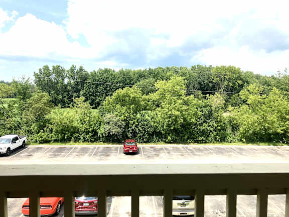 The view from your living room window.