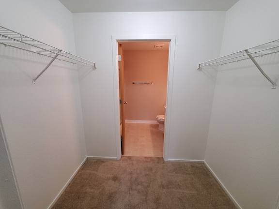 A walk-through closet between the main bedroom and bathroom.