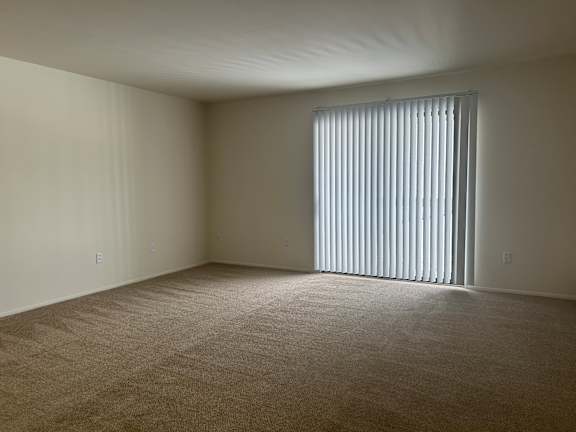 A living room with a carpeted floor and a window with blinds.