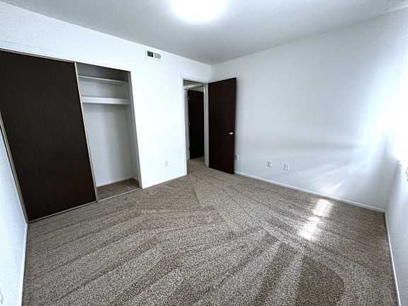 A carpeted bedroom with a closet and a door.