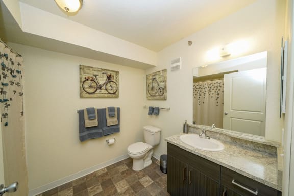 a bathroom with a toilet and a sink and a mirror at Andover Pointe Apartment Homes in La Vista, NE