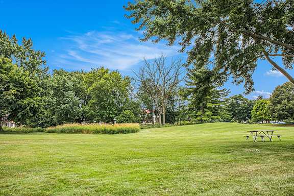 A green grassy lawn with trees and a picnic table at Apple Ridge Apartments, MI, 49534