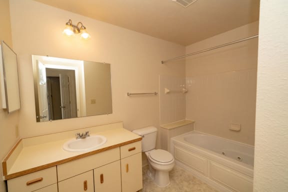 a bathroom with a sink toilet and a bath tub at Autumn Lakes Apartments and Townhomes, Mishawaka, 46544
