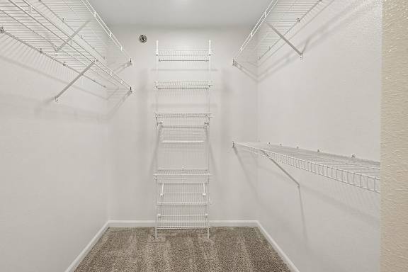 A white walk-in closet with a carpeted floor and shelving.