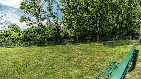 A green bench sits in a grassy field with trees in the background