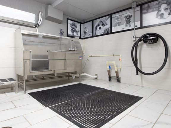 Pet Grooming Station at Avant & Avant II, Carmel, Indiana