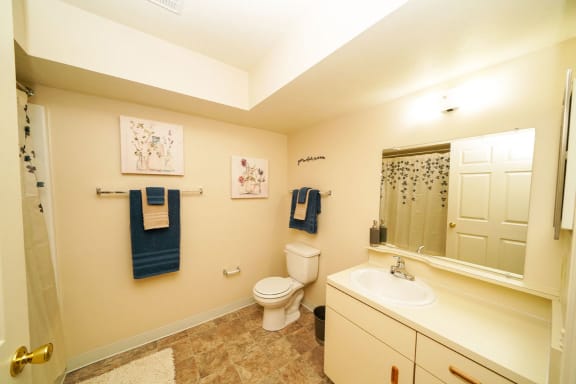 a bathroom with a toilet and a sink and a mirror at Brentwood Park Apartments, La Vista, NE, 68128