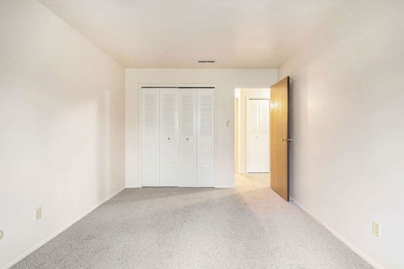 A bedroom with plush carpeting and a large closet A bedroom with plush carpeting and a large closet at Brookside Apartments, Michigan