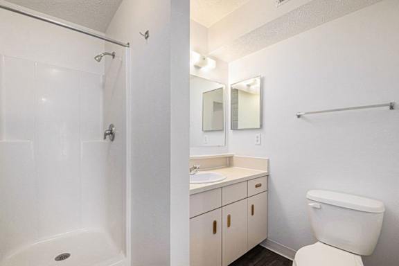 2nd bathroom with a walk in shower  at Black Sand Apartment Homes, Nebraska