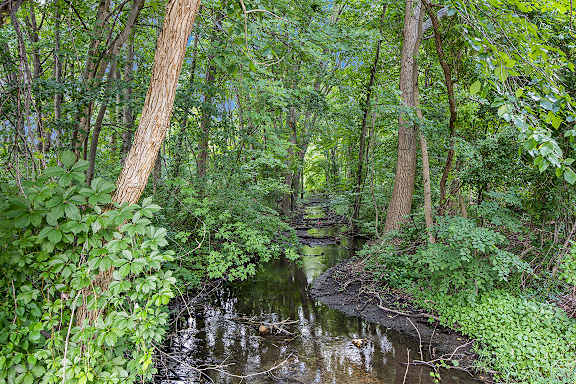A small stream flows through a lush green area at Byron Lakes Apartments, Byron Center, Michigan