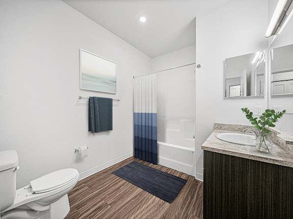 A large bathroom with a bathtub, shower, sink and toilet at Chase Creek Apartment Homes, Alabama