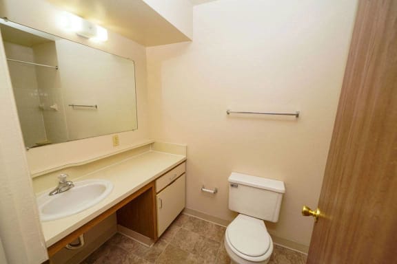 A bathroom with a large mirror, countertop and a toilet at Canal Club Apartments, Michigan, 48917