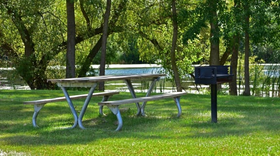 a picnic table and a barbecue grill in a park