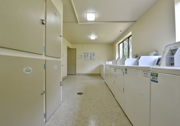 a laundry room with washes and dryers and a door to a door closet