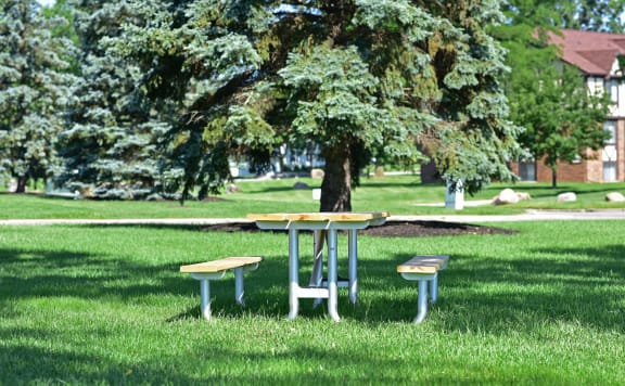 a picnic table and three benches in a park