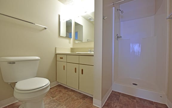 Bathroom at Heatherwood Apartments, Michigan