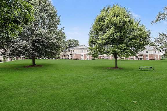 Large lawn area with trees and picnic seating at Fairlane Apartments, Springfield, MI