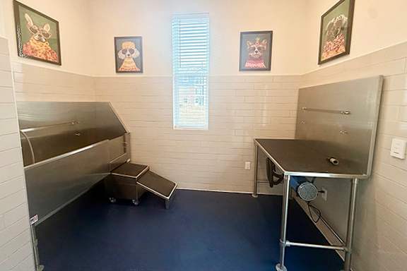 A pet spa at The Grove Apartment Homes, Lincoln, NE 68512