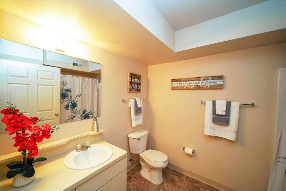 a bathroom with a toilet and a sink and a mirror at Gull Prairie/Gull Run Apartments and Townhomes, Michigan, 49048