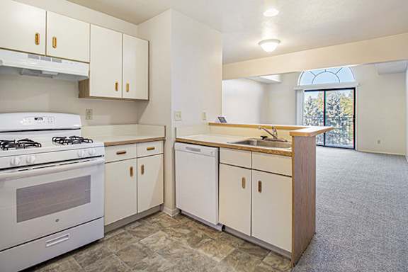 A kitchen with a white stove and dishwasher at Gull Prairie/Gull Run Apartments and Townhomes in Kalamazoo, MI