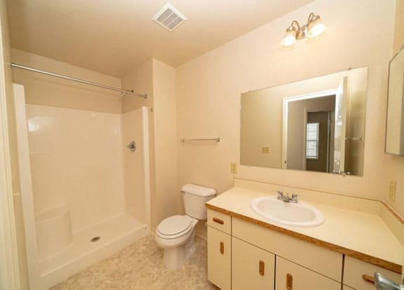 bathroom with walk in shower bathroom with walk in shower at Foxwood and The Hermitage, Portage