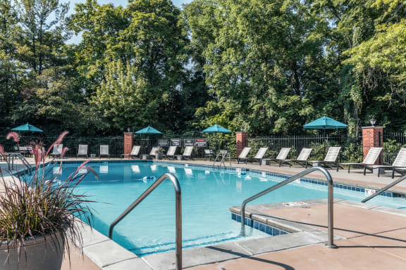 a swimming pool with chairs and trees in the background at Polo Run Apartments, Greenwood