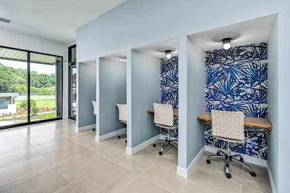 A room with blue walls and a patterned wallpaper at Ironwood Flats Apartments, Brandon, Florida