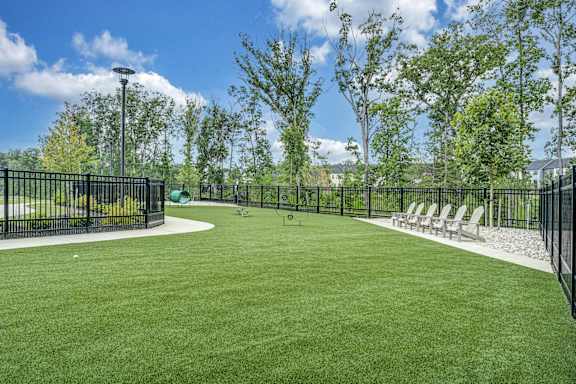 A black fenced area with a green lawn and trees in the background