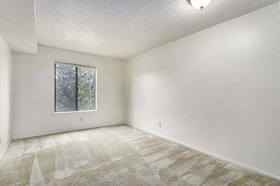 A room with a window and carpeted floor.