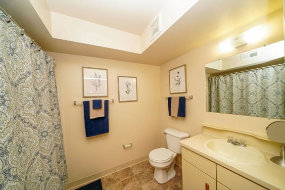 a bathroom with a sink toilet and a shower at Orchard Lakes Apartments, Ohio