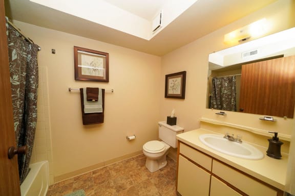 a bathroom with a sink toilet and a shower  at Pine Knoll Apartments, Battle Creek, MI, 49014