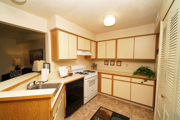 a kitchen with a stove top oven and a sink  at Pine Knoll Apartments, Battle Creek, 49014