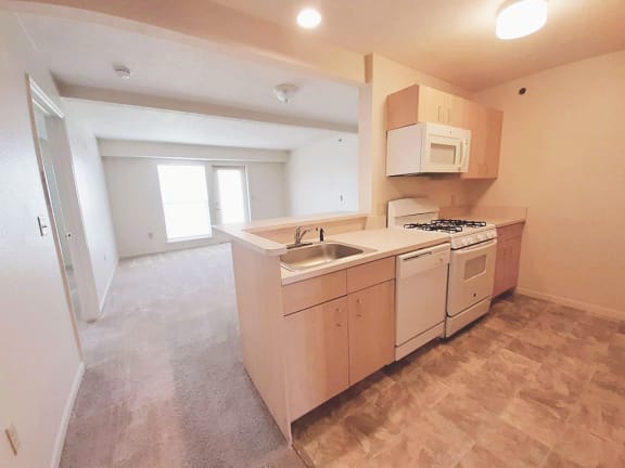an empty kitchen and living room with a sink and stove  at Hunters Pond Apartment Homes, Champaign, 61820