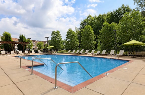 A large outdoor swimming pool surrounded by trees and lounge chairs.