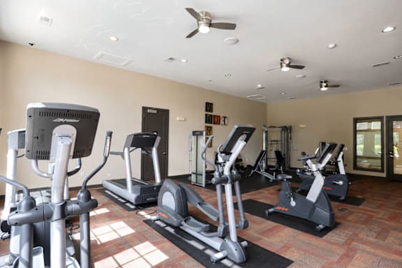 A gym with treadmills, elliptical machines, and other cardio equipment.