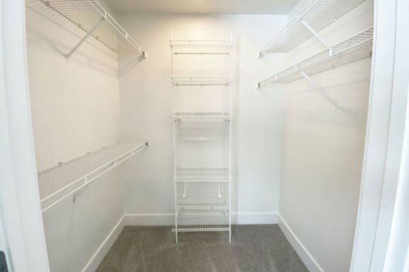 Walk-In Closet with Organizers at Signature Pointe Apartment Homes, Athens, AL