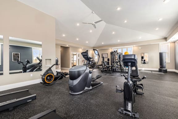 a gym with various exercise equipment  at Signature Pointe Apartment Homes, Alabama, 35611