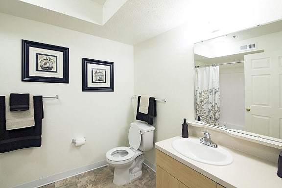 a bathroom with a toilet and a sink and a mirror at Stoney Pointe Apartment Homes, Wichita