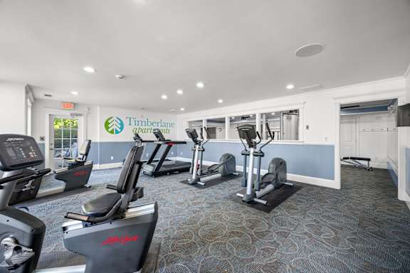 A gym with treadmills and elliptical machines